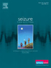 SEIZURE-EUROPEAN JOURNAL OF EPILEPSY封面